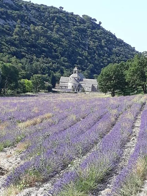Bastidon Plein Sud Villa Gordes Holiday home